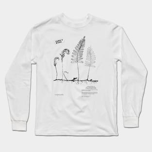 Iron & Wine Resurrection Fern Long Sleeve T-Shirt